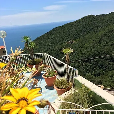 Le Terrazze Di Cristina Bed & Breakfast Vietri sul Mare Exterior photo