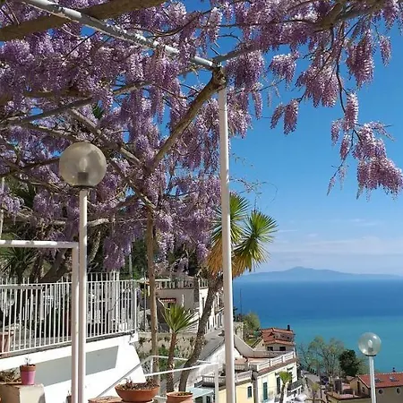 Le Terrazze Di Cristina Bed & Breakfast Vietri sul Mare Exterior photo