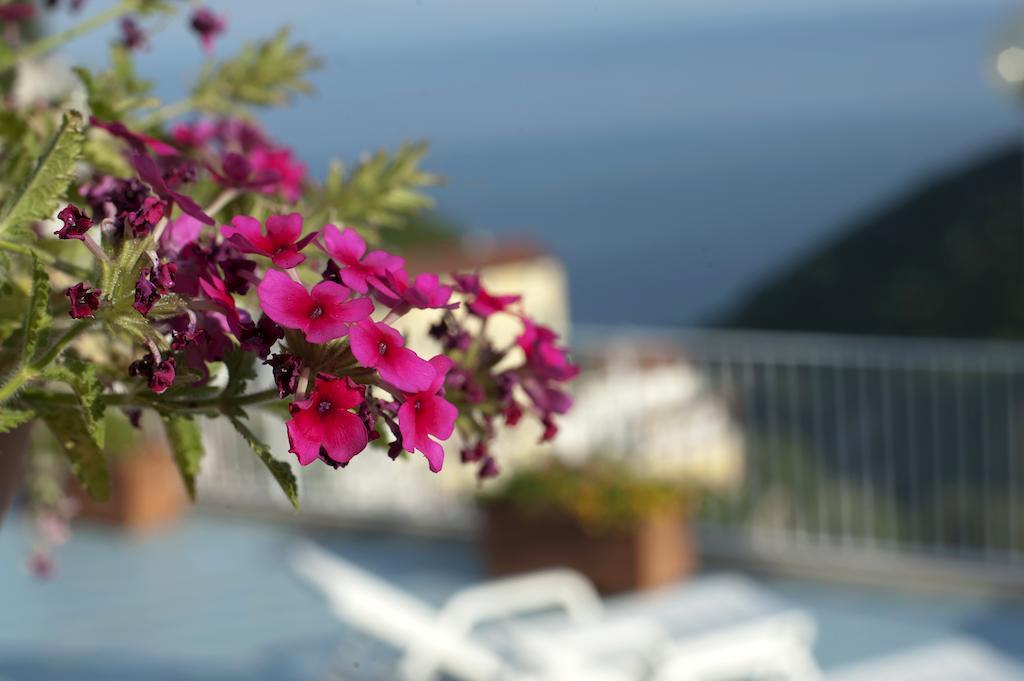 Bed & Breakfast Le Terrazze Di Cristina Vietri