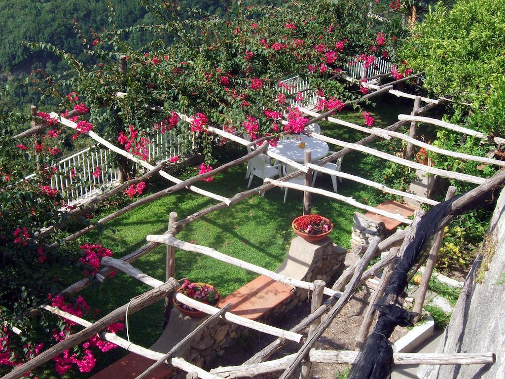 Bed & Breakfast Le Terrazze Di Cristina *