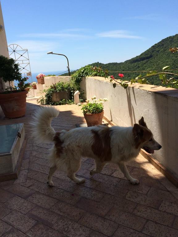Bed & Breakfast Le Terrazze Di Cristina *