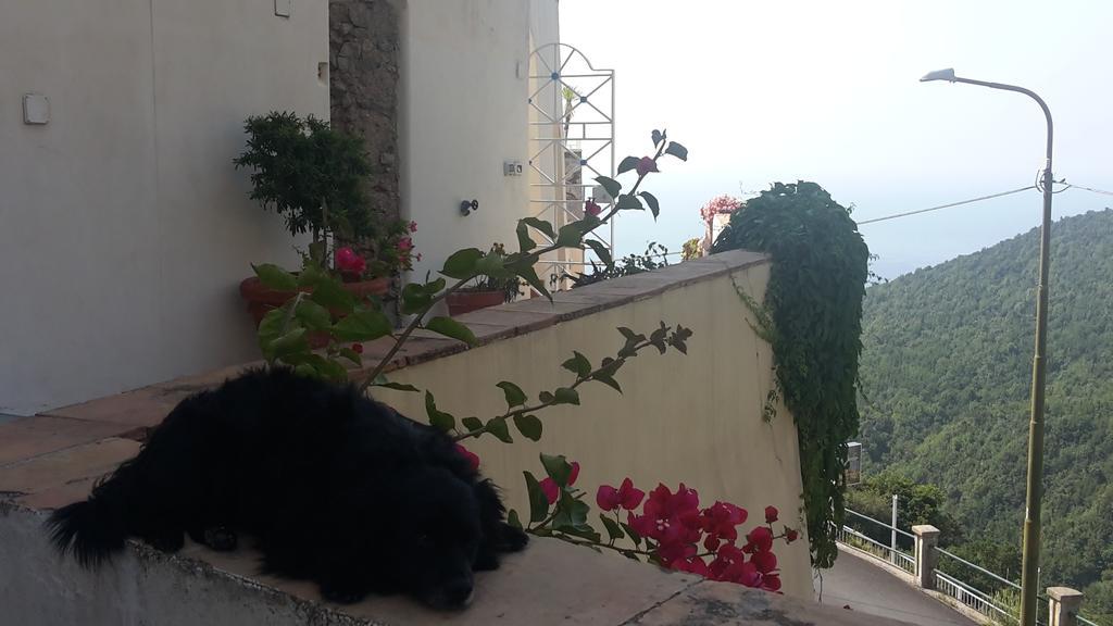 Bed & Breakfast Le Terrazze Di Cristina