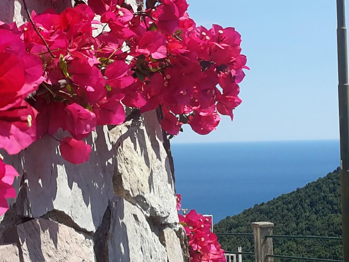Le Terrazze Di Cristina Bed & Breakfast