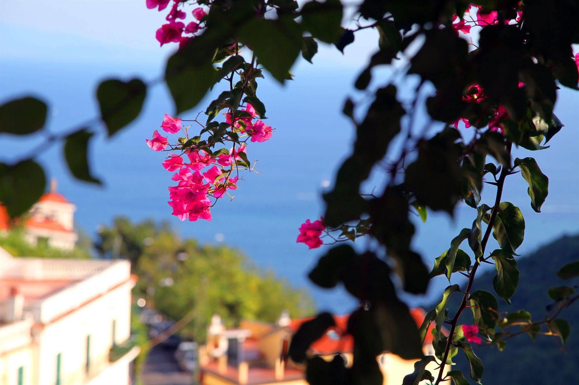 Le Terrazze Di Cristina Bed & Breakfast *
