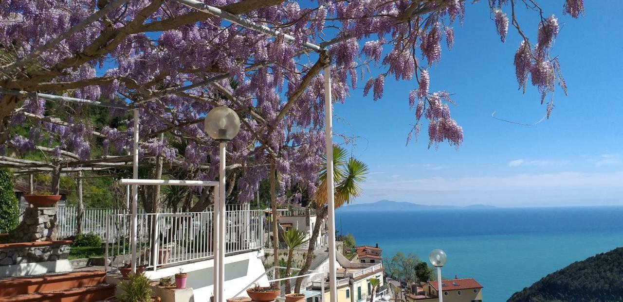Bed & Breakfast Le Terrazze Di Cristina Vietri
