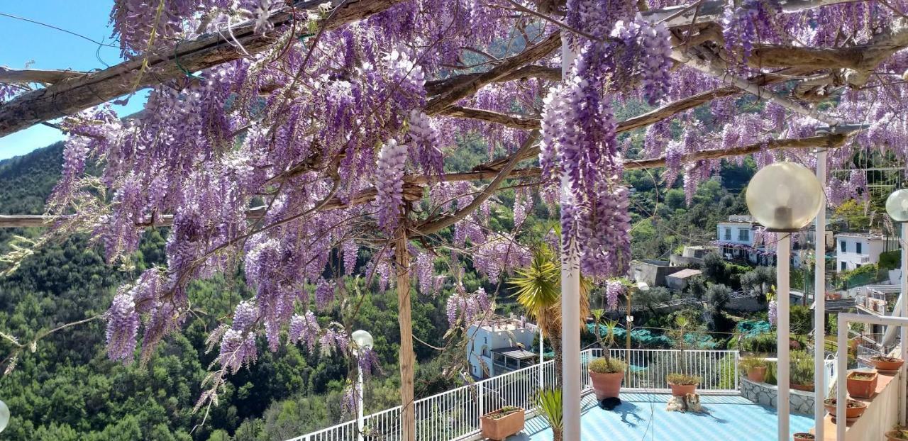 Bed & Breakfast Le Terrazze Di Cristina Vietri sul Mare